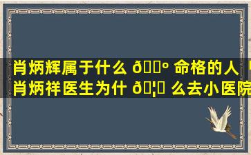肖炳辉属于什么 🌺 命格的人「肖炳祥医生为什 🦈 么去小医院了」